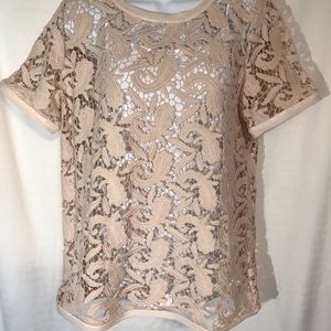 LOFT Pale Mauve Pink Lace Short Sleeve Top MEDIUM